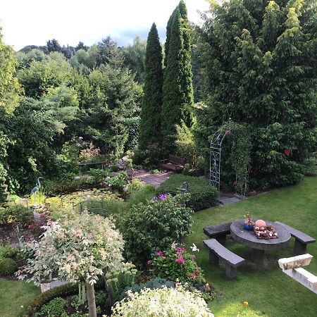Gruene Oase Apartment Kottenheim Екстериор снимка