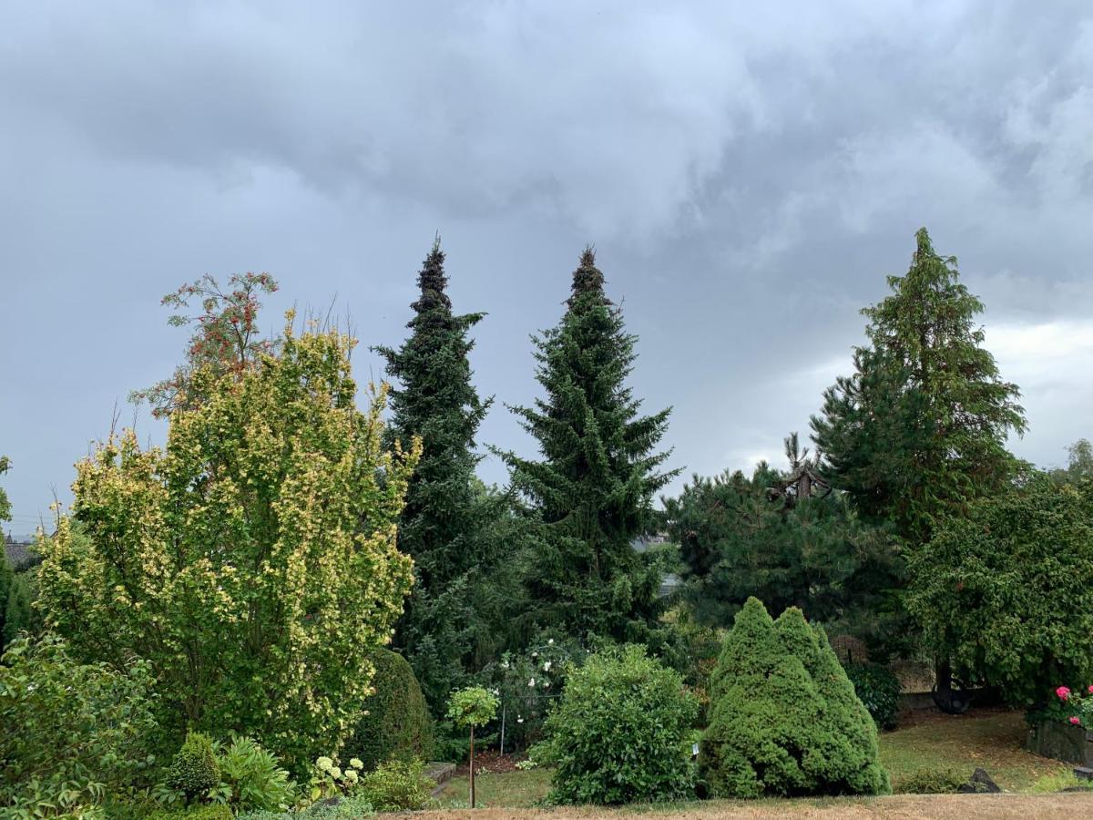 Gruene Oase Apartment Kottenheim Екстериор снимка